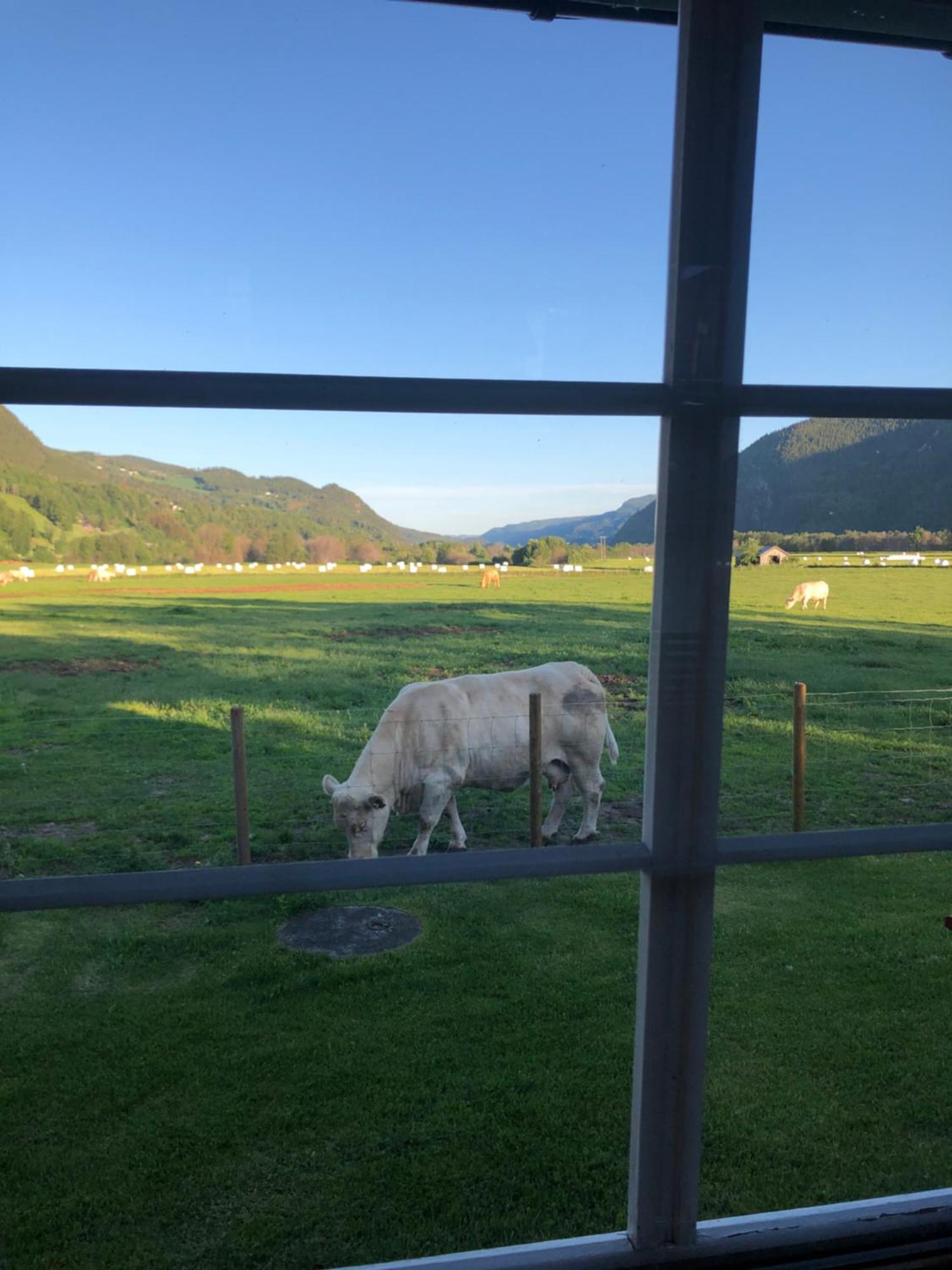 Villa Soltun Ringebu Eksteriør billede