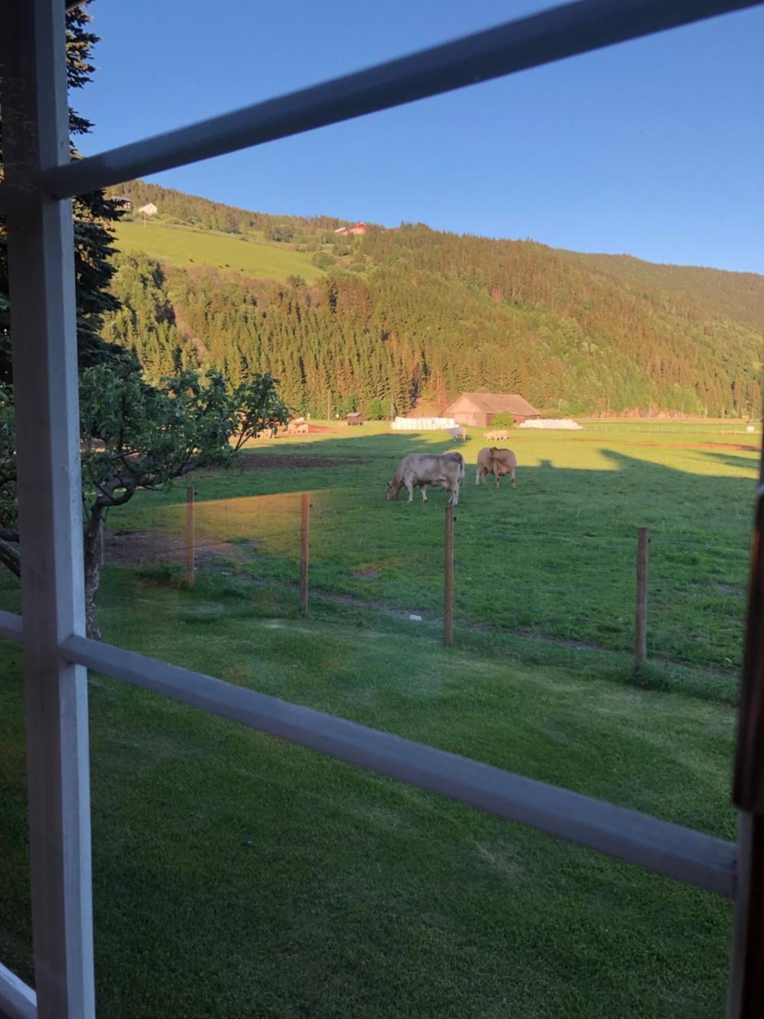 Villa Soltun Ringebu Eksteriør billede