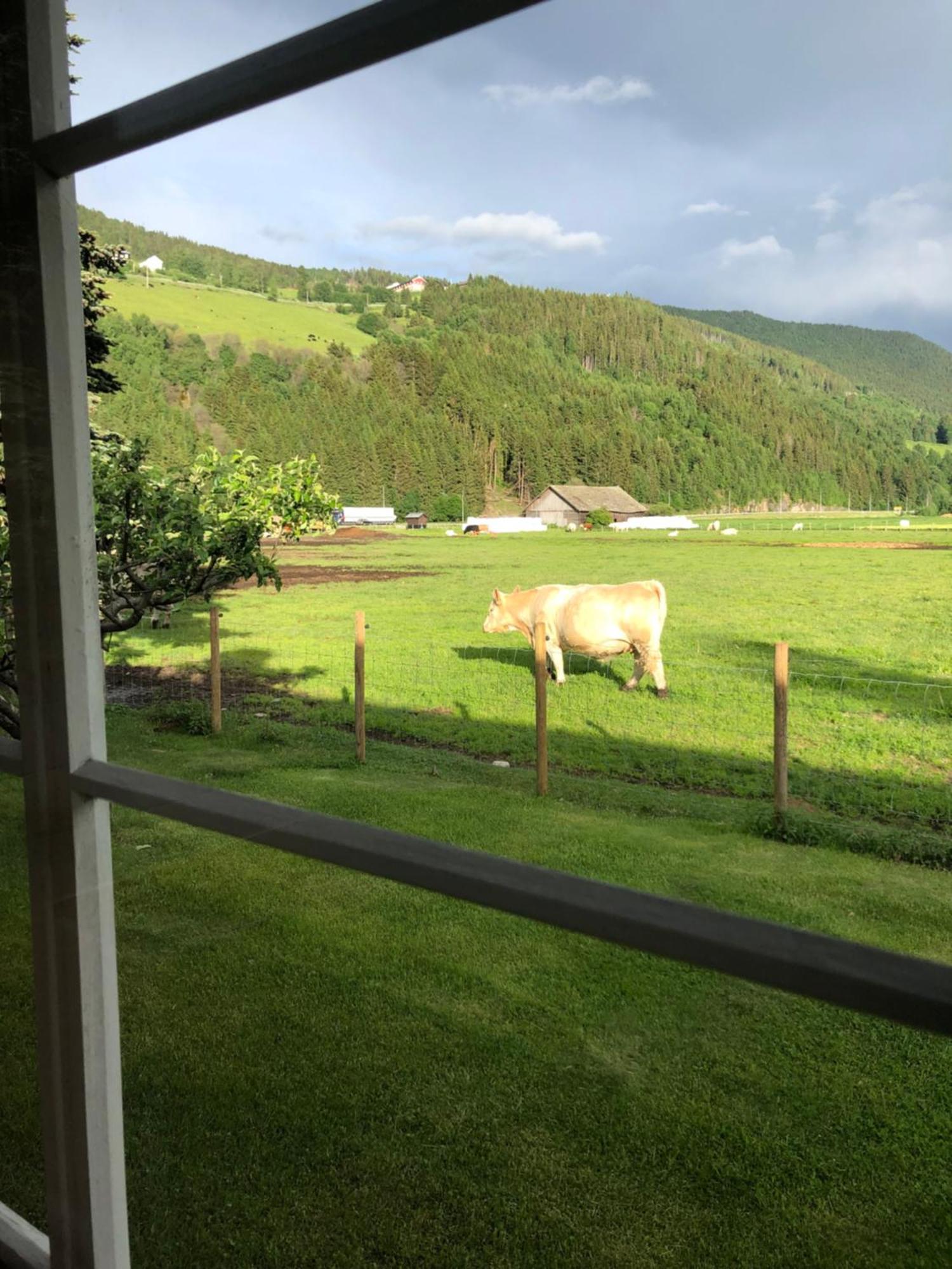 Villa Soltun Ringebu Eksteriør billede